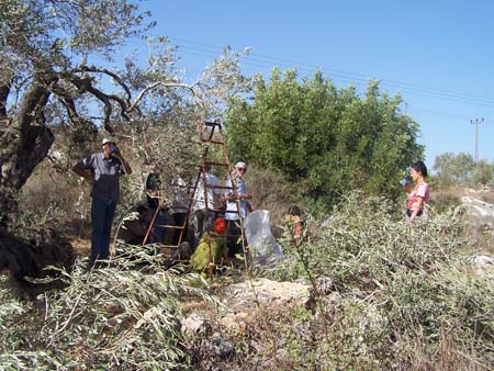 mission 21e - deir Istiya - Palestine